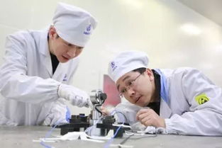 提升贫困人口医疗保障水平 技术开发赋能医疗救助新篇章